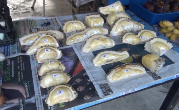 ​เอาใจคนงบน้อย ขายทุเรียนเริ่มต้น 25 บาท