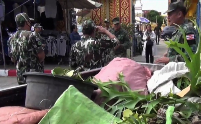 ตรวจยึดกล้วยไม้ป่า 9 สายพันธุ์จ.มุกดาหาร