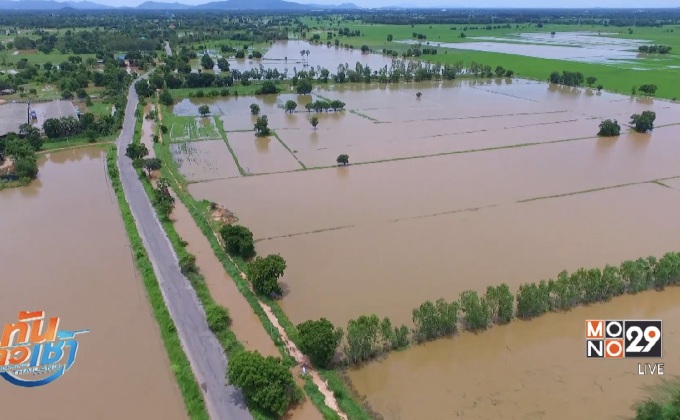 น้ำป่าหลากเข้าท่วมนาข้าว อ.มโนรมย์