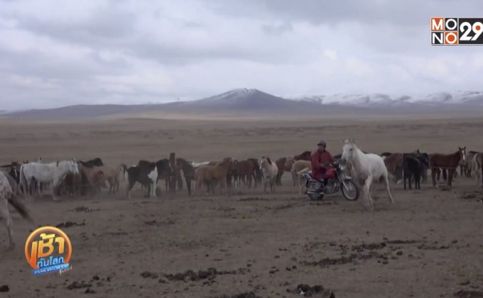 ปศุสัตว์ “มองโกเลีย” ทรุดจากผลกระทบสภาพอากาศ