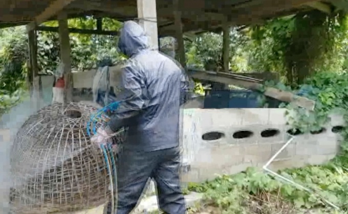 จ.สุโขทัยยังคงมีไก่ทยอยตายต่อเนื่อง