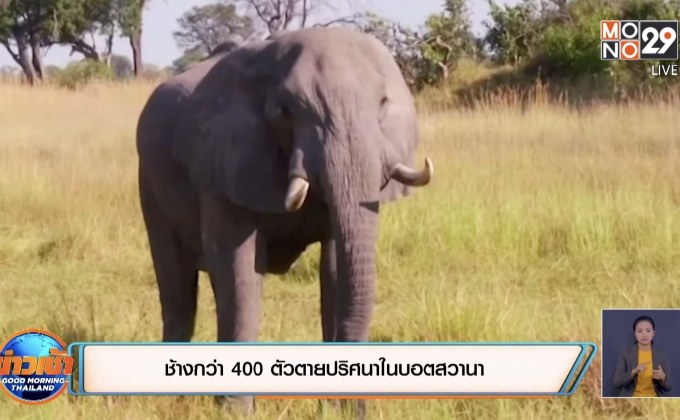 ช้างกว่า 400 ตัวตายปริศนาในบอตสวานา