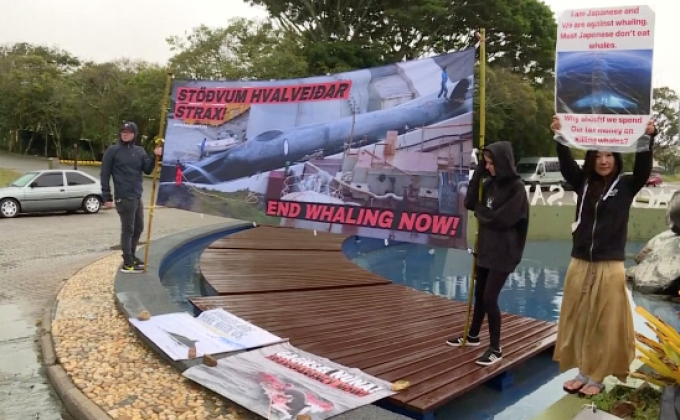 ชาติหนุนการล่าวาฬค้านจัดตั้งเขตอนุรักษ์