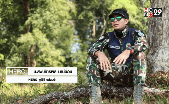 Five minutes Bighero : น.สพ.ภัทรพล มณีอ่อน HERO  ผู้พิทักษ์สัตว์ป่า ตอนที่ 4/5