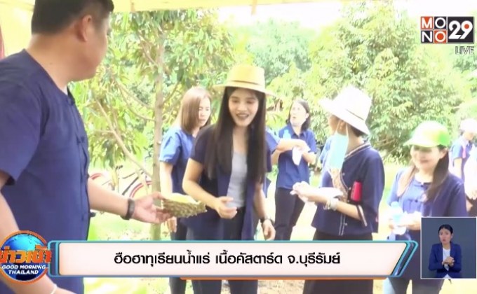 ฮือฮาทุเรียนน้ำแร่ เนื้อคัสตาร์ด จ.บุรีรัมย์