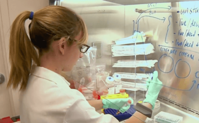 เพาะเลี้ยงเซลล์สมองช่วยทดสอบการรักษาโรค