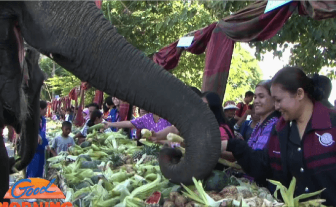 เลี้ยงอาหารช้าง ทำลายสถิติเดิม