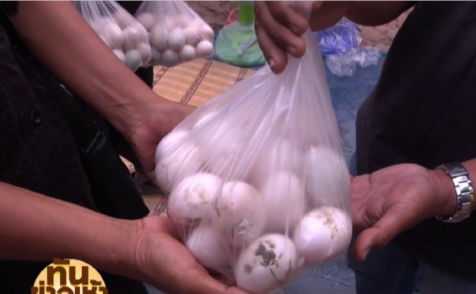 โปรยทาน “ไข่เป็ด”