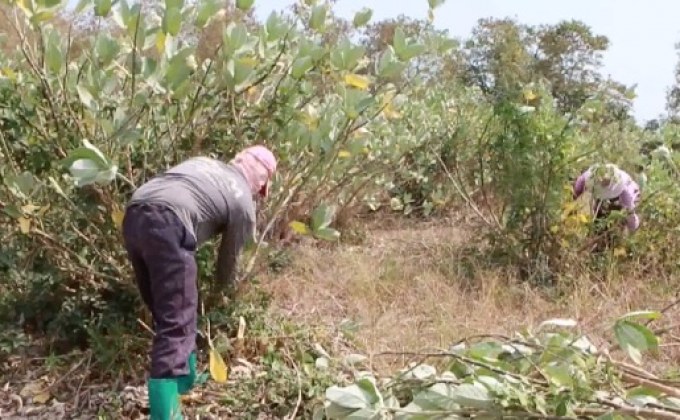 ภาคเหนือ เริ่มประสบปัญหาขาดแคลนน้ำ