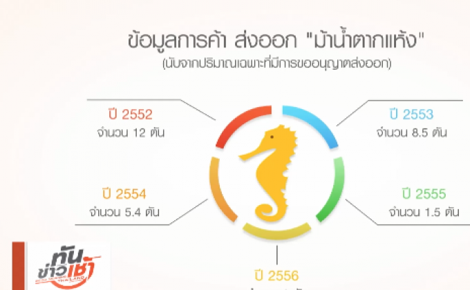 คุยครบกับพบเอก :  โชคชะตา ‘ม้าน้ำ’ สัตว์ไซเตสบัญชี 2