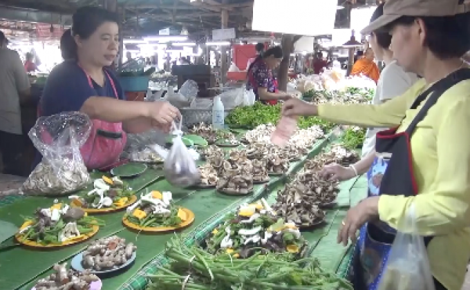 ​เตือนระวังกินเห็ดพิษ หลังภาคเหนือพบผู้ป่วยแล้ว 19 ราย