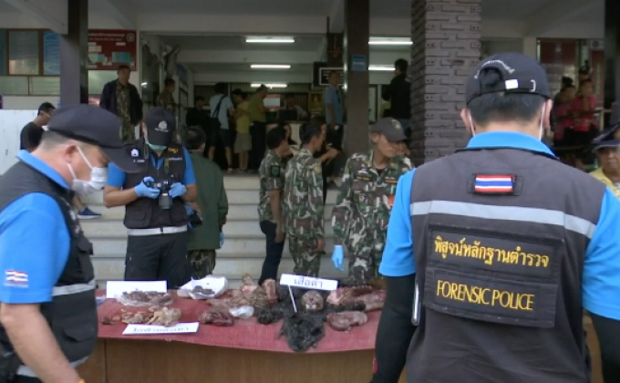 เช็กอัตราโทษสูงสุด “ล่าสัตว์ป่า”