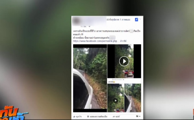 แห่แชร์คลิปคนขับรถเก๋งเที่ยวเขาใหญ่ แกล้งช้างป่า