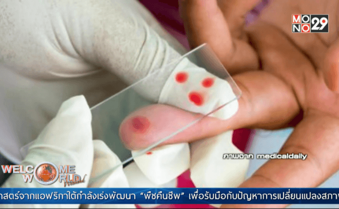 ตรวจหามะเร็งด้วยเลือดเพียงหยดเดียว