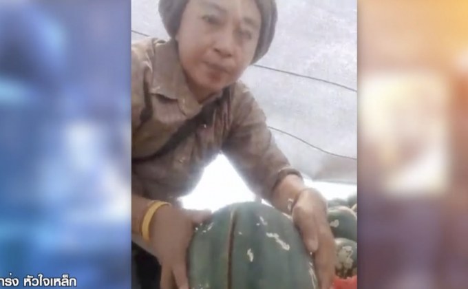 พิษโควิด แตงโมขายไม่ได้ เจ้าของสวนไลฟ์สดขายเองหมดเกลี้ยง 100 ไร่