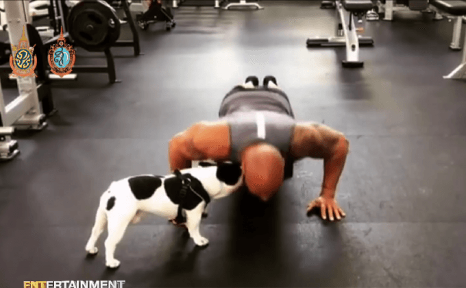 เทรนด์มาแรงแทนไอซ์บัคเก็ต เปิดศึกท้าดวลวิดพื้น22ครั้งเพื่อการกุศล