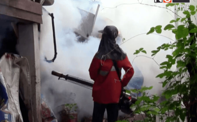 ไข้เลือดออกระบาดเชียงใหม่