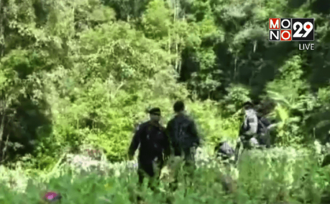 บุกทลายไร่ฝิ่นป่าอนุรักษ์ จ.แม่ฮ่องสอน