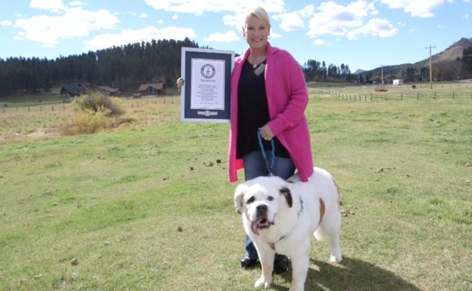 “โมชิ” สุนัขที่มีลิ้นยาวที่สุดในโลก