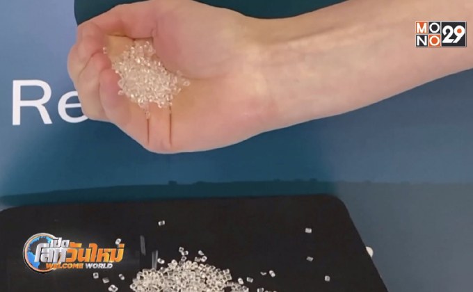 พลาสติกรักษ์โลกจากต้นไม้