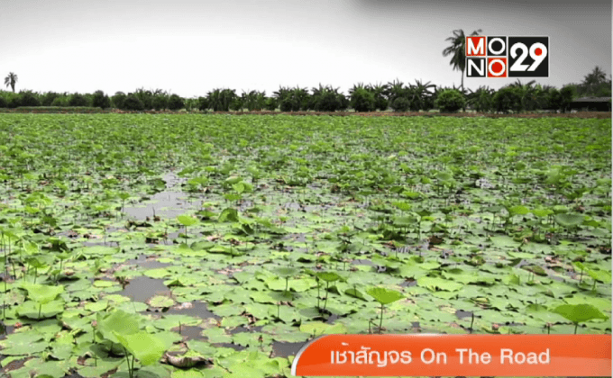 เที่ยวท่องล่องชมคลองมหาสวัสดิ์