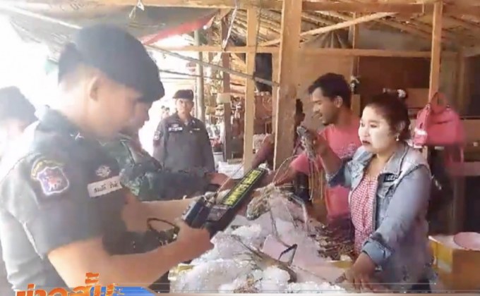 พบตะกั่วยัดในตัวกุ้งเพิ่มน้ำหนัก อ.แม่สอด จ.ตาก