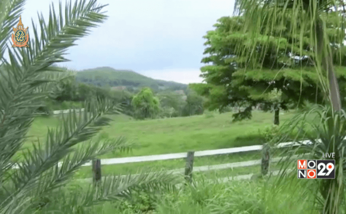 ยึดคืนพื้นที่ ส.ป.ก.โคราช