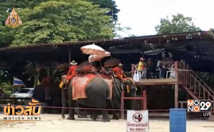 เจ้าของวังช้างอยุธยาขอความเป็นธรรมถูกสั่งย้ายช้าง