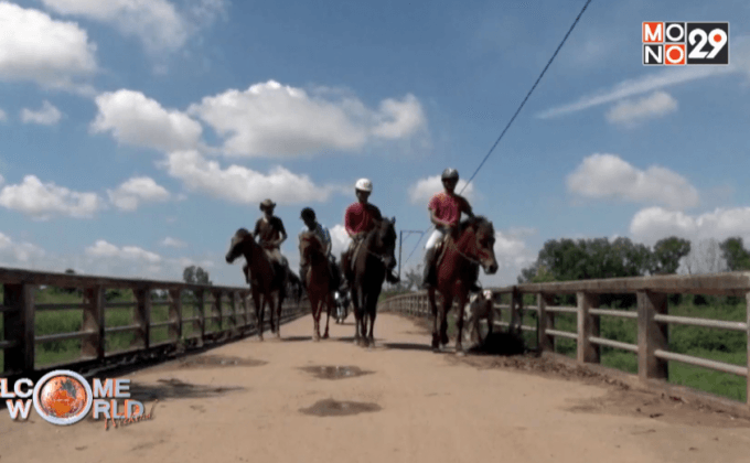 ปลุกกระแสขี่ม้าในกัมพูชา