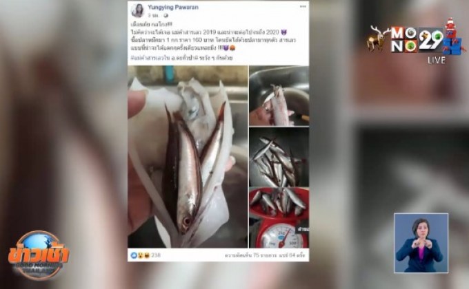 ​เตือน ปลาหมึกยัดไส้ กลโกงช่วงเทศกาล