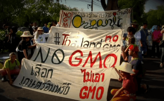 ปลุกชีพ GMO