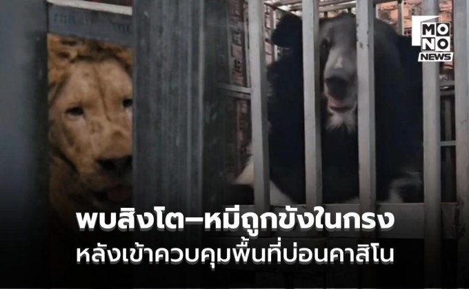 อึ้งหนัก! ฉก.นย.ตราด เข้าควบคุมพื้นที่บ่อนคาสิโน พบสิงโต–หมีถูกขังในกรง