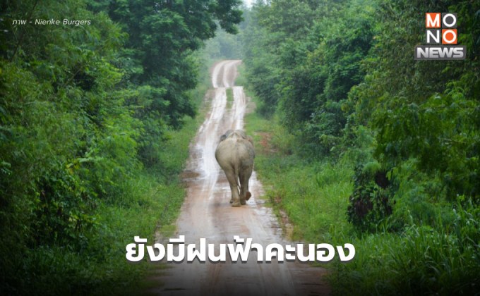 สภาพอากาศวันนี้ มีฝนฟ้าคะนอง ลมกระโชกแรง