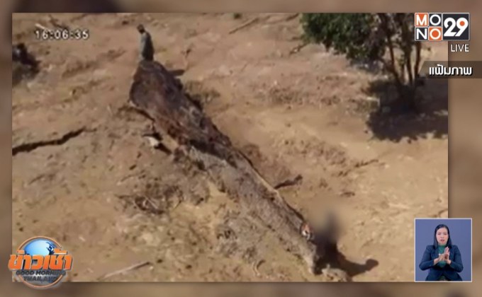 เปิดผลสอบหลักฐาน “พอละจี” จนท.อุทฯ ตัดไม้แก่งกระจานฯ