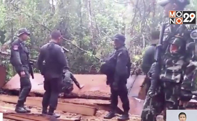 ทหาร – หน.วิเชียร ลุยจับไม้ป่าทุ่งใหญ่นเรศวร