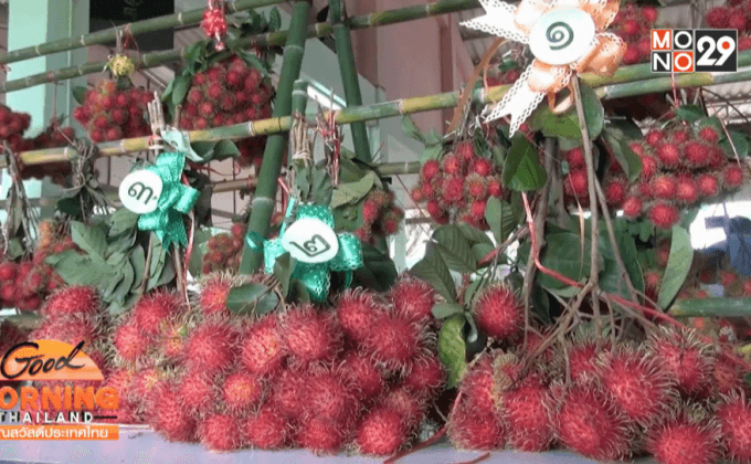 งานวันเงาะของดีทุ่งช้าง จ.น่าน