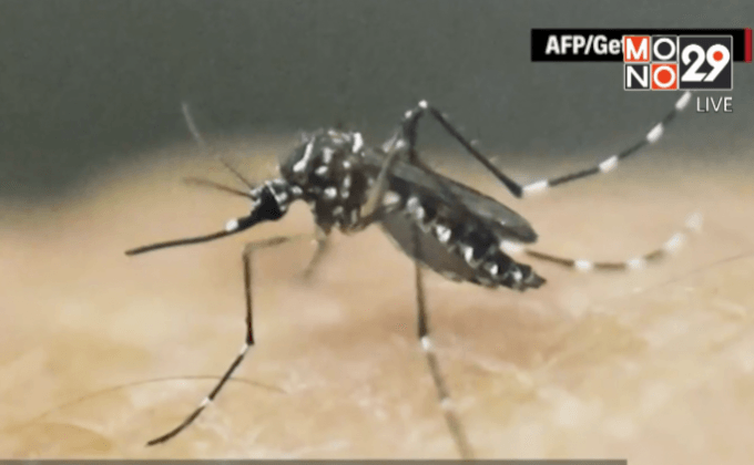 พบชาวอเมริกันติดเชื้อไวรัสซิกาคนแรก