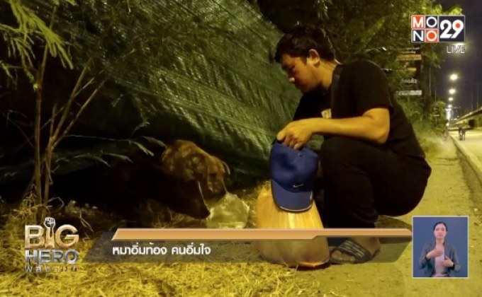 Big hero หมาอิ่มท้อง คนอิ่มใจ