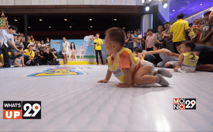 เบบี้เลิฟ แข่งคลาน 2016