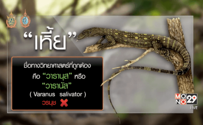 ราชบัณฑิตยืนยัน”เหี้ย”เป็นศัพท์ทางการ