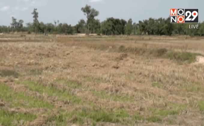 รวมสถานการณ์ภัยแล้ง