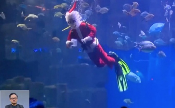 ซานตาคลอสดำน้ำกับฝูงปลาในฝรั่งเศส+เกาหลีใต้
