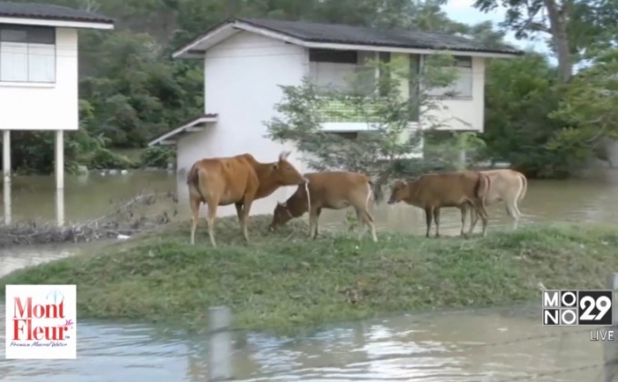 น้ำท่วมภาคใต้ยังไม่คลี่คลาย