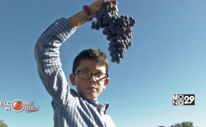 เที่ยวชมโรงงานผลิตไวน์ในสเปน