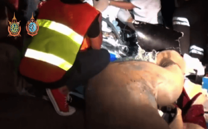 เร่งหางาช้างที่หายไป จ.ลำปาง