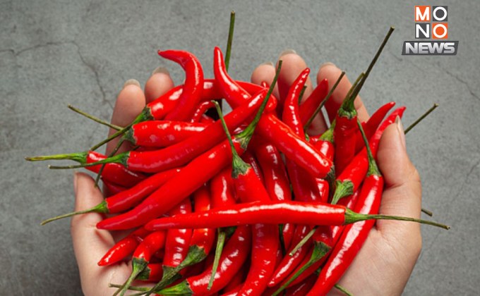 ใครเจอก็เหงื่อตก! อดีตผบ.เรือนจำพิเศษกทม. ลั่น เจ็บใจ “สตง.” ขอวัด “พริกขี้หนู” ยาวตามคุณลักษณะมั้ย