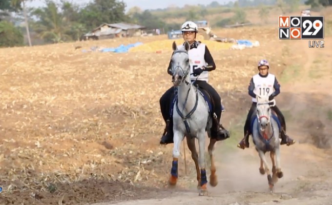 “พฤฒิรัตน์”คว้าแชมป์ขี่ม้า เอ็นดูแรนซ์ คัพ 2017