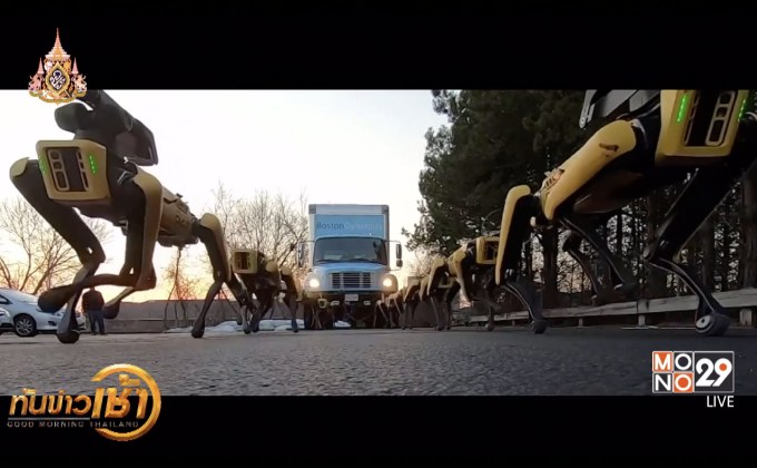 หุ่นยนต์ 4 ขา โชว์ลากรถบรรทุก