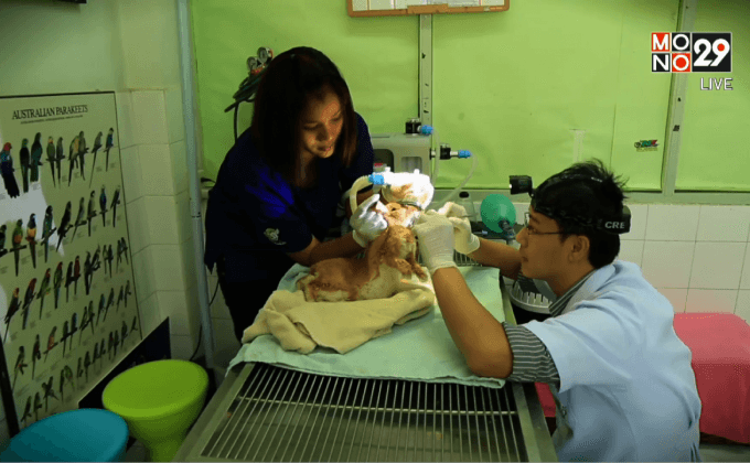 Five minutes Bighero : หมอเบญ ตอนที่ 5/5