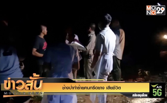 ช้างป่าทำร้ายคนกรีดยางเสียชีวิต